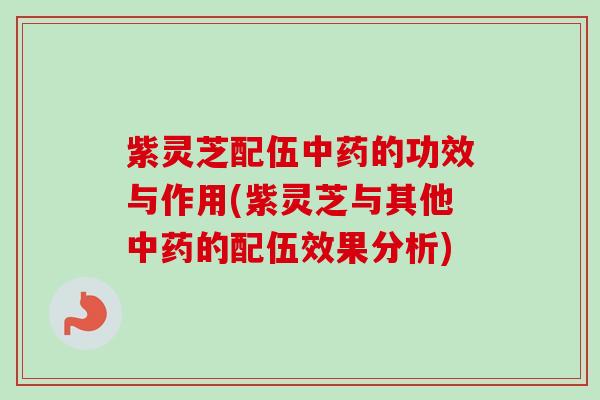 紫灵芝配伍中药的功效与作用(紫灵芝与其他中药的配伍效果分析)