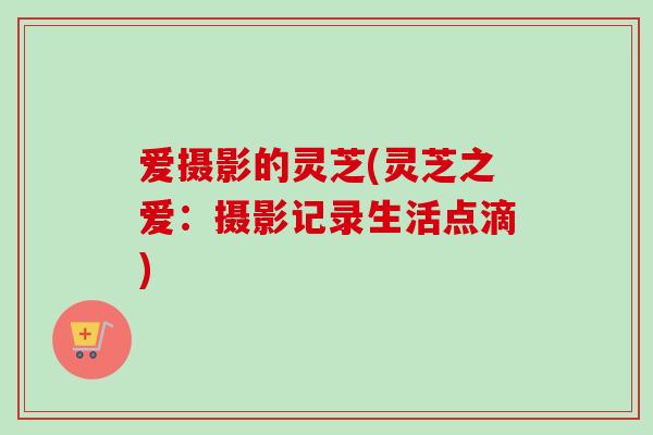 爱摄影的灵芝(灵芝之爱：摄影记录生活点滴)