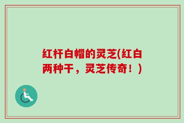 红杆白帽的灵芝(红白两种干，灵芝传奇！)