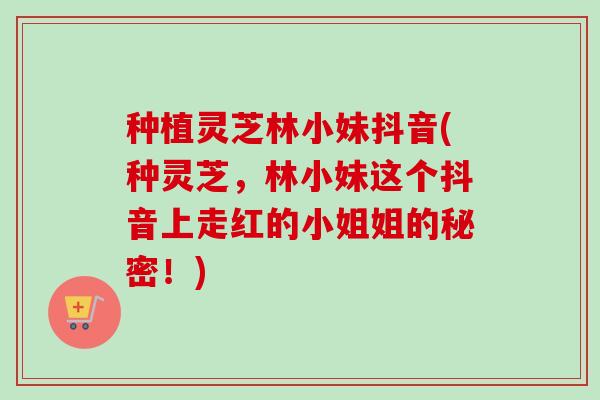 种植灵芝林小妹抖音(种灵芝,林小妹这个抖音上走红的小姐姐的秘密!) 种植灵芝林小妹抖音(种灵芝,林小妹这个抖音上走红的小姐姐的秘密!)