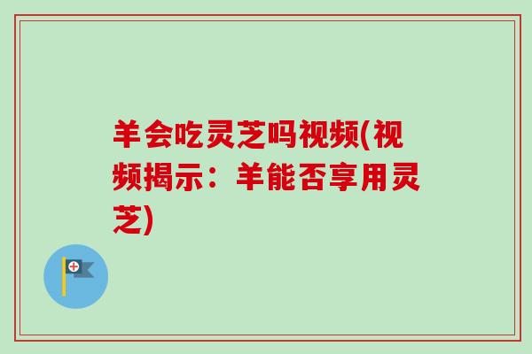 羊会吃灵芝吗视频(视频揭示：羊能否享用灵芝)