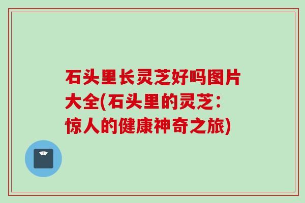 石头里长灵芝好吗图片大全(石头里的灵芝:惊人的健康神奇之旅) 石头里长灵芝好吗图片大全(石头里的灵芝:惊人的健康神奇之旅)