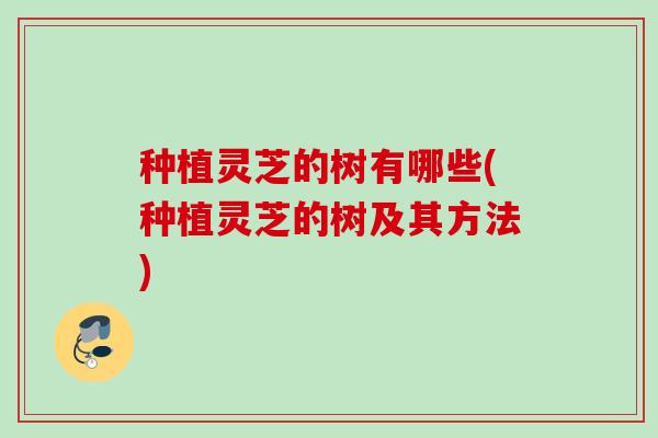 种植灵芝的树有哪些(种植灵芝的树及其方法)