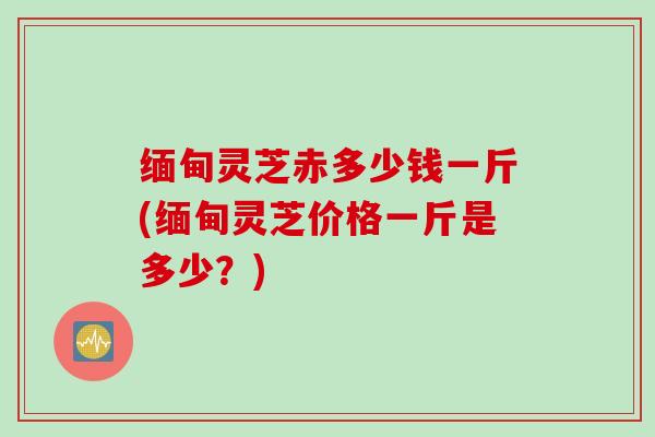 缅甸灵芝赤多少钱一斤(缅甸灵芝价格一斤是多少？)
