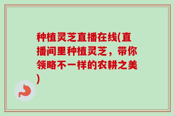 种植灵芝直播在线(直播间里种植灵芝，带你领略不一样的农耕之美)