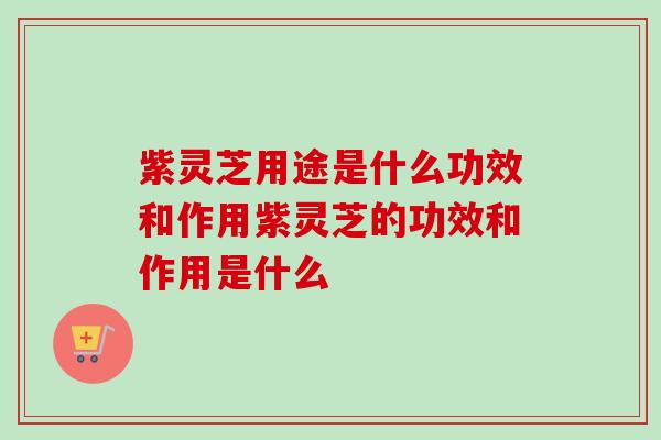紫灵芝用途是什么功效和作用紫灵芝的功效和作用是什么