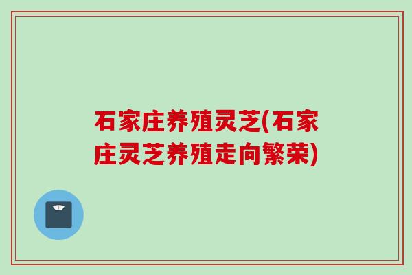 石家庄养殖灵芝(石家庄灵芝养殖走向繁荣) 石家庄养殖灵芝(石家庄灵芝养殖走向繁荣)