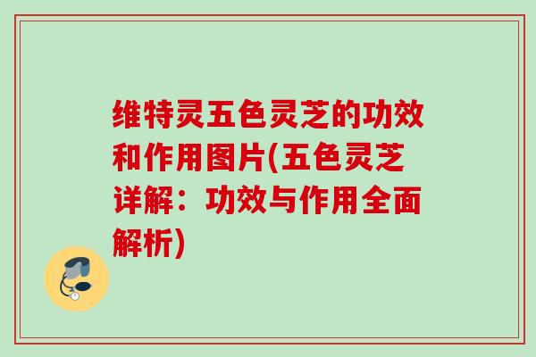 维特灵五色灵芝的功效和作用图片(五色灵芝详解:功效与作用全面解析) 维特灵五色灵芝的功效和作用图片(五色灵芝详解:功效与作用全面解析)