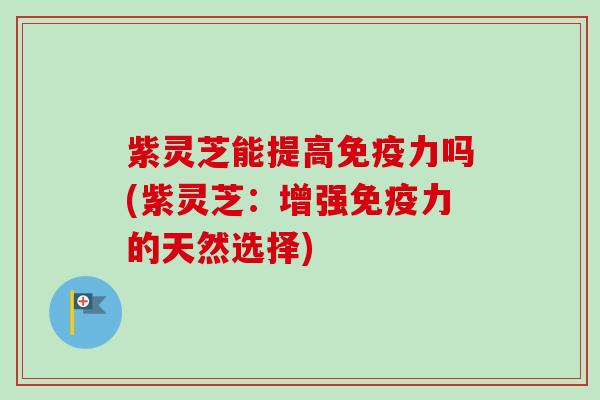 紫灵芝能提高免疫力吗(紫灵芝:增强免疫力的天然选择) 紫灵芝能提高免疫力吗(紫灵芝:增强免疫力的天然选择)