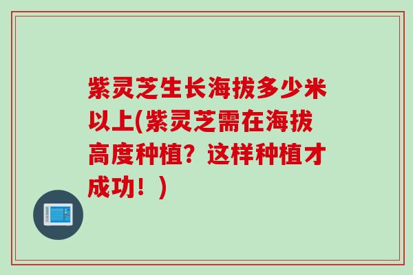 紫灵芝生长海拔多少米以上(紫灵芝需在海拔高度种植？这样种植才成功！)
