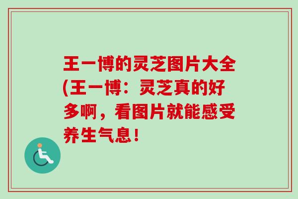 王一博的灵芝图片大全(王一博：灵芝真的好多啊，看图片就能感受养生气息！