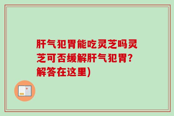 气犯胃能吃灵芝吗灵芝可否缓解气犯胃?解答在这里) 气犯胃能吃灵芝吗灵芝可否缓解气犯胃?解答在这里)