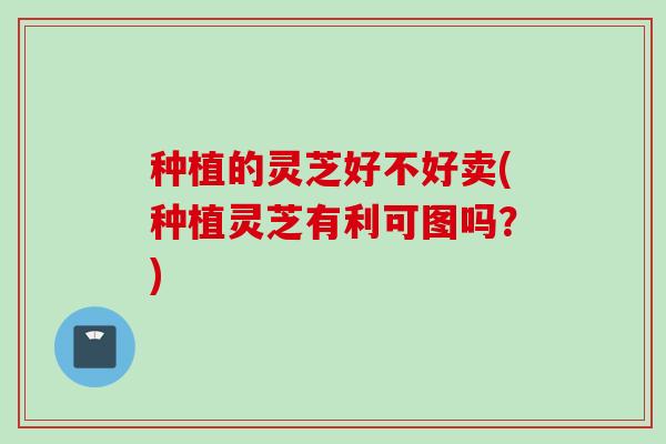 种植的灵芝好不好卖(种植灵芝有利可图吗？)