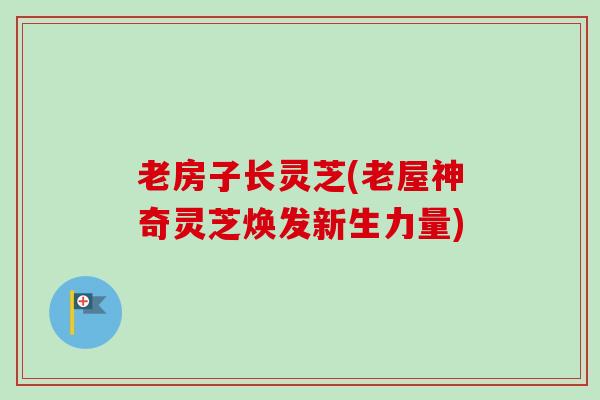 老房子长灵芝(老屋神奇灵芝焕发新生力量) 老房子长灵芝(老屋神奇灵芝焕发新生力量)