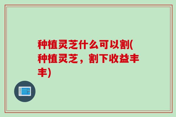 种植灵芝什么可以割(种植灵芝，割下收益丰丰)