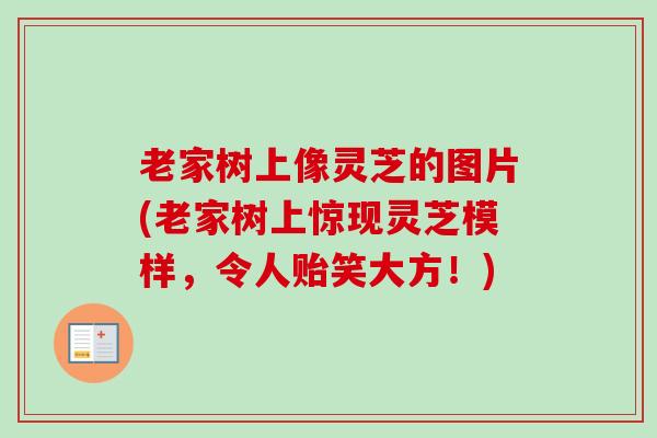 老家树上像灵芝的图片(老家树上惊现灵芝模样，令人贻笑大方！)