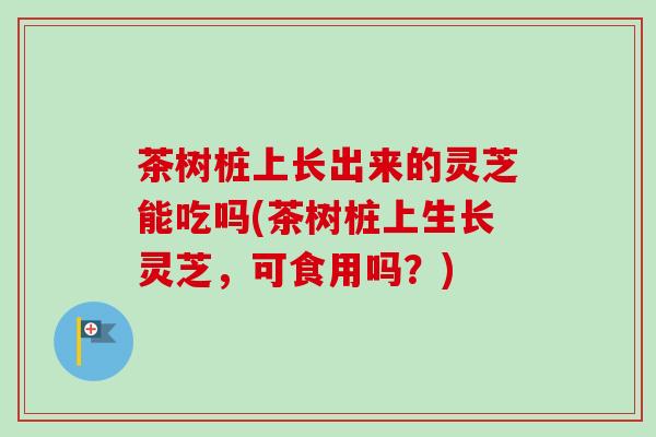 茶树桩上长出来的灵芝能吃吗(茶树桩上生长灵芝，可食用吗？)