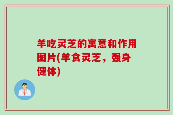 羊吃灵芝的寓意和作用图片(羊食灵芝，强身健体)