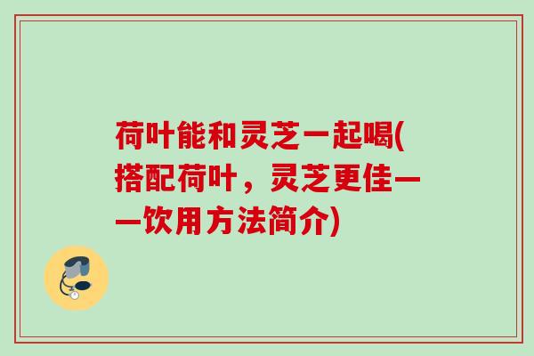 荷叶能和灵芝一起喝(搭配荷叶，灵芝更佳——饮用方法简介)