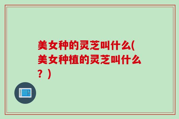 美女种的灵芝叫什么(美女种植的灵芝叫什么?) 美女种的灵芝叫什么(美女种植的灵芝叫什么?)