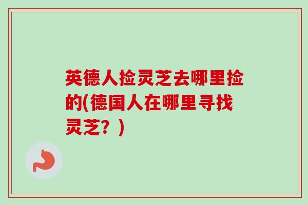 英德人捡灵芝去哪里捡的(德国人在哪里寻找灵芝？)