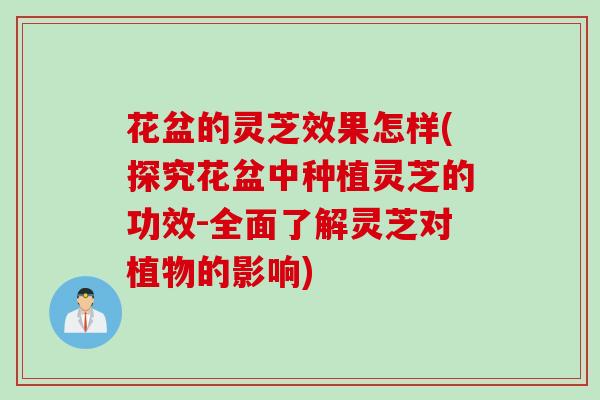 花盆的灵芝效果怎样(探究花盆中种植灵芝的功效-全面了解灵芝对植物的影响)