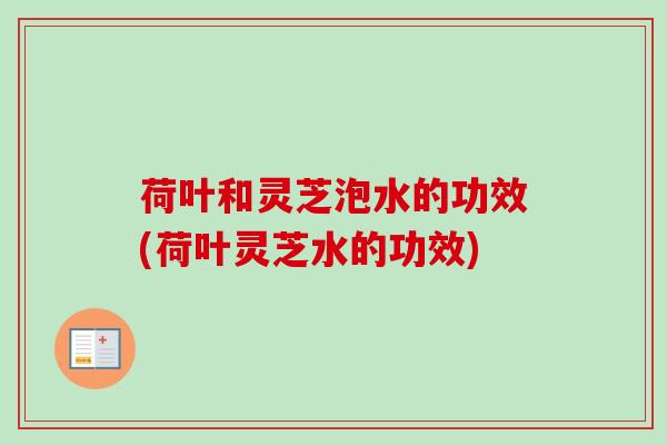 荷叶和灵芝泡水的功效(荷叶灵芝水的功效)