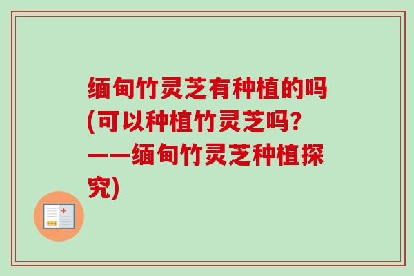 缅甸竹灵芝有种植的吗(可以种植竹灵芝吗？——缅甸竹灵芝种植探究)