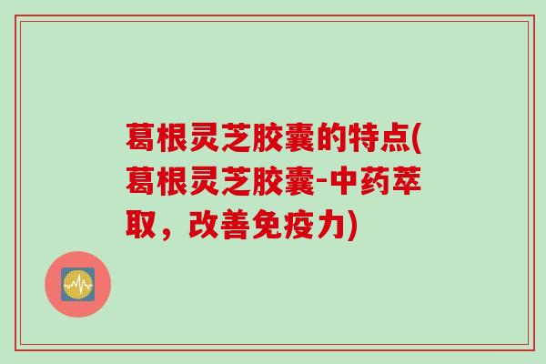 葛根灵芝胶囊的特点(葛根灵芝胶囊-中药萃取，改善免疫力)
