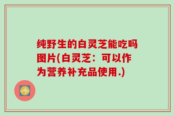 纯野生的白灵芝能吃吗图片(白灵芝:可以作为营养补充品使用.) 纯野生的白灵芝能吃吗图片(白灵芝:可以作为营养补充品使用.)