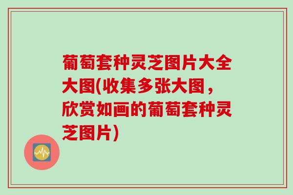 葡萄套种灵芝图片大全大图(收集多张大图，欣赏如画的葡萄套种灵芝图片)