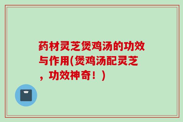 药材灵芝煲鸡汤的功效与作用(煲鸡汤配灵芝，功效神奇！)