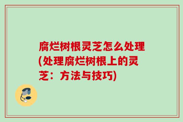 腐烂树根灵芝怎么处理(处理腐烂树根上的灵芝:方法与技巧) 腐烂树根灵芝怎么处理(处理腐烂树根上的灵芝:方法与技巧)