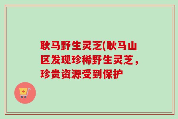 耿马野生灵芝(耿马山区发现珍稀野生灵芝，珍贵资源受到保护