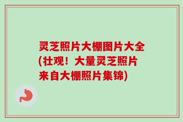 灵芝照片大棚图片大全(壮观！大量灵芝照片来自大棚照片集锦)