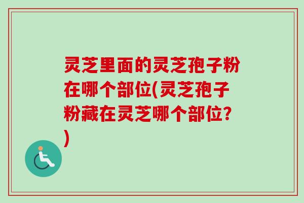 灵芝里面的灵芝孢子粉在哪个部位(灵芝孢子粉藏在灵芝哪个部位？)