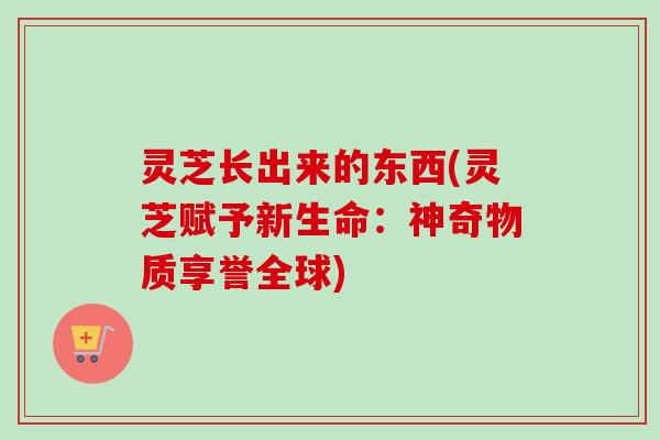 灵芝长出来的东西(灵芝赋予新生命：神奇物质享誉全球)