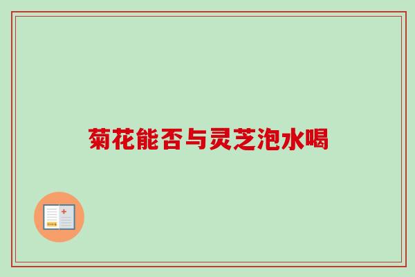 菊花能否与灵芝泡水喝
