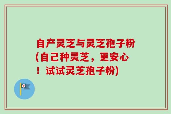 自产灵芝与灵芝孢子粉(自己种灵芝，更安心！试试灵芝孢子粉)