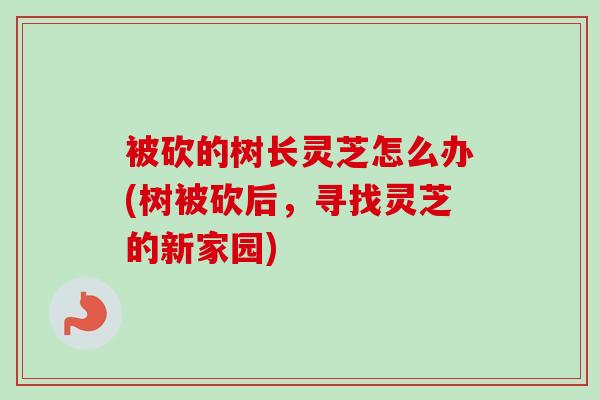 被砍的树长灵芝怎么办(树被砍后，寻找灵芝的新家园)