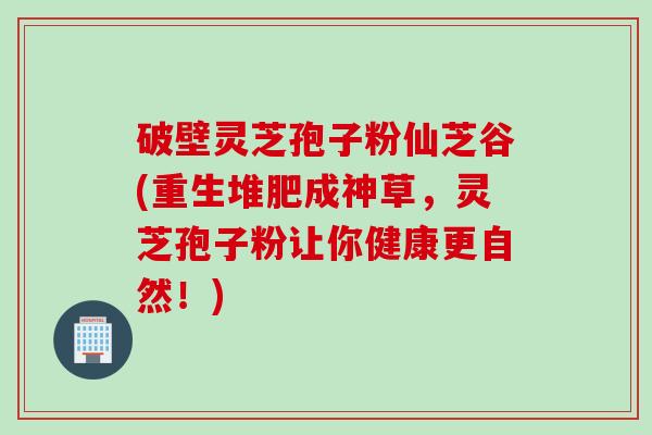 破壁灵芝孢子粉仙芝谷(重生堆肥成神草，灵芝孢子粉让你健康更自然！)