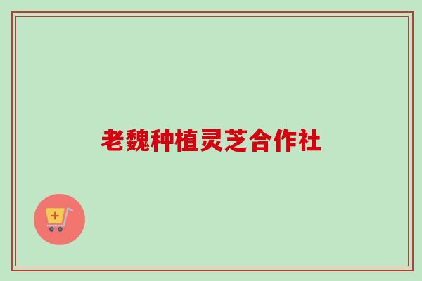 老魏种植灵芝合作社