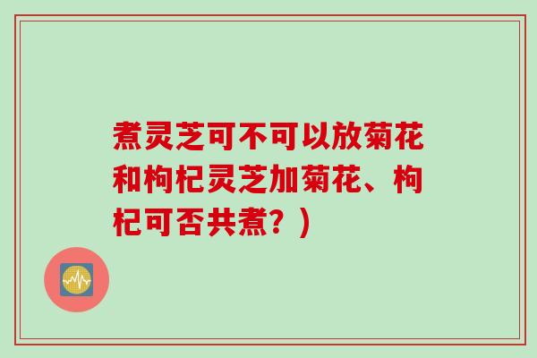 煮灵芝可不可以放菊花和枸杞灵芝加菊花、枸杞可否共煮?) 煮灵芝可不可以放菊花和枸杞灵芝加菊花、枸杞可否共煮?)