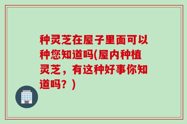 种灵芝在屋子里面可以种您知道吗(屋内种植灵芝，有这种好事你知道吗？)