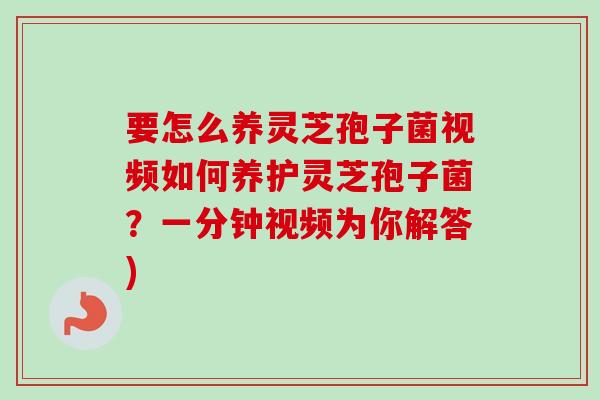 要怎么养灵芝孢子菌视频如何养护灵芝孢子菌？一分钟视频为你解答)