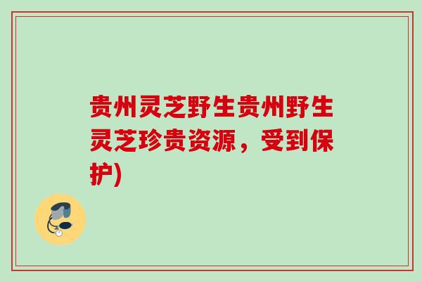 贵州灵芝野生贵州野生灵芝珍贵资源，受到保护)