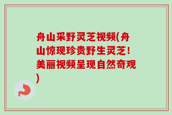 舟山采野灵芝视频(舟山惊现珍贵野生灵芝!美丽视频呈现自然奇观) 舟山采野灵芝视频(舟山惊现珍贵野生灵芝!美丽视频呈现自然奇观)
