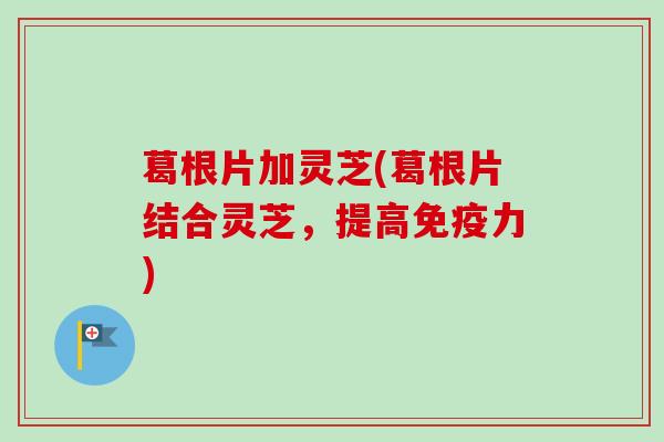 葛根片加灵芝(葛根片结合灵芝,提高免疫力) 葛根片加灵芝(葛根片结合灵芝,提高免疫力)