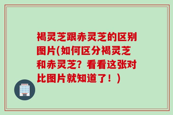 褐灵芝跟赤灵芝的区别图片(如何区分褐灵芝和赤灵芝？看看这张对比图片就知道了！)
