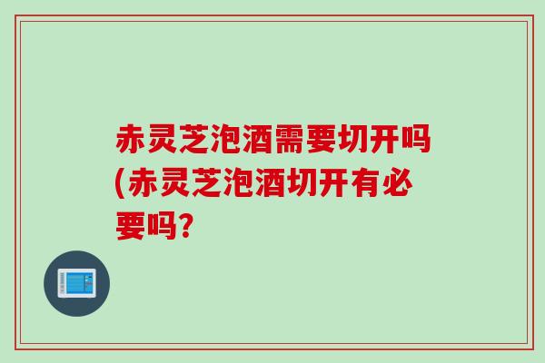 赤灵芝泡酒需要切开吗(赤灵芝泡酒切开有必要吗？
